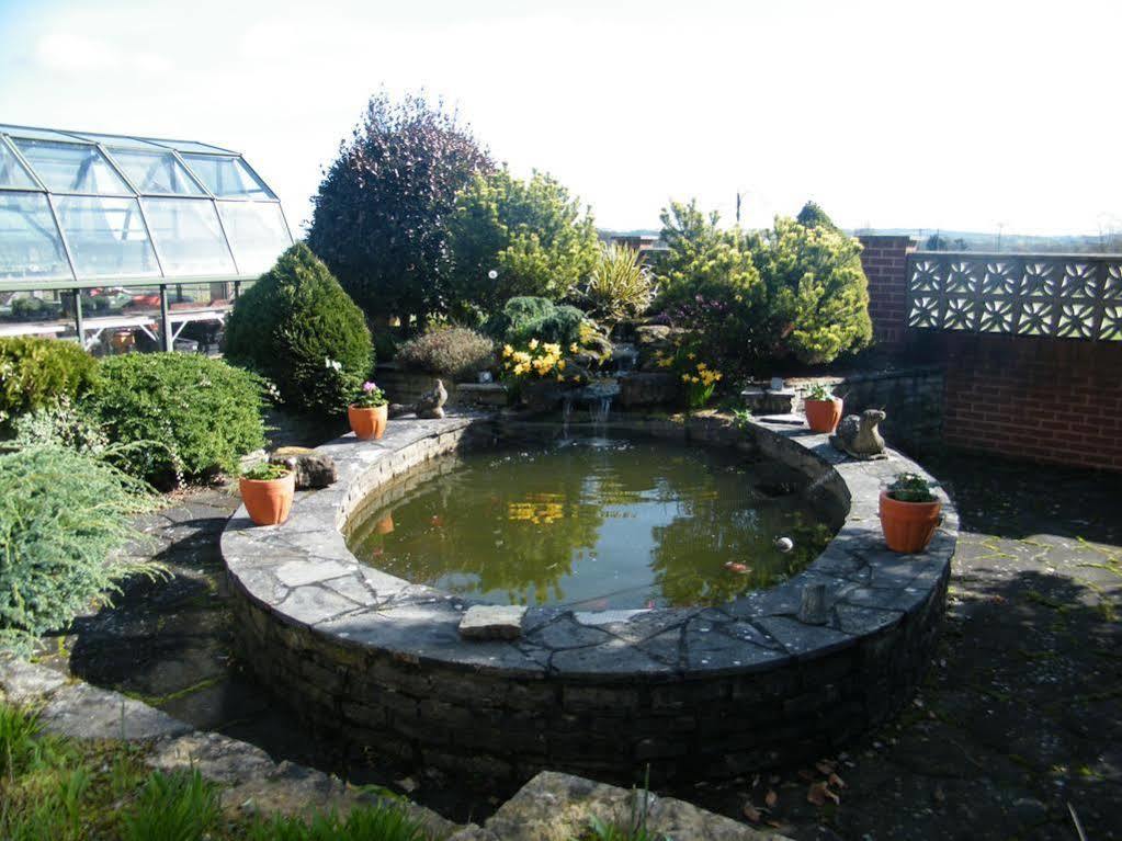 Clyst Saint Mary Eastcote Luxury Guest House מראה חיצוני תמונה